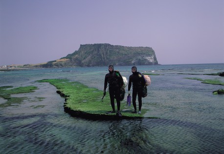 Korea-Tourism-Organisation-TT-458x316