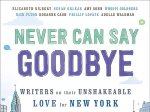 Never-Can-Say-Goodbye-cover